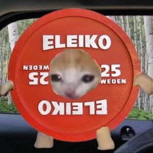 Meet your Posher, Haize